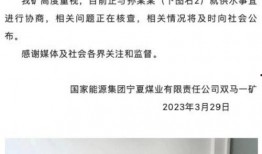 爆料双马煤矿视频,揭秘矿难背后惊人真相