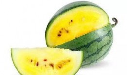 免费吃瓜软件哪个最好,哪个才是最佳选择？